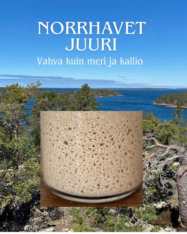 Juuri, NORRHAVET täysjyvävehnäjuuri tuore + kuivattu